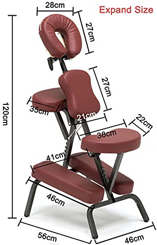 DRYIC Portable Folding Massage Chair,Professional Massage Tattoo Chair Bed with with Carrying Bag,Beauty Bed Salon Chair (Brown)