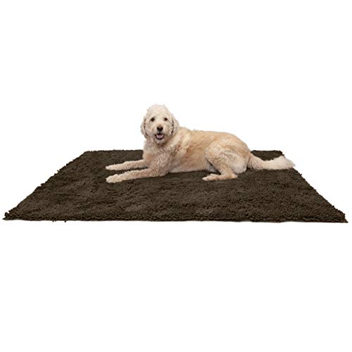 10 Best Mud Rugs For Dogs