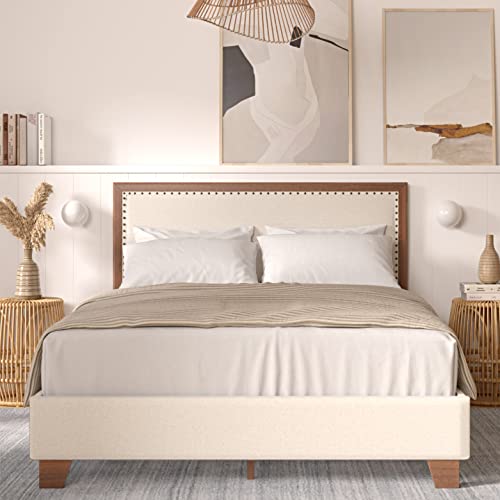 Dg Casa Gabriel Queen Upholstered Platform Bed Frame, Chic Nailhead Boarder, Walnut Color Finish, Solid Rubberwood, Timeless Design, Wooden Slat Support System, Mitered Corners, Cream #TOP8