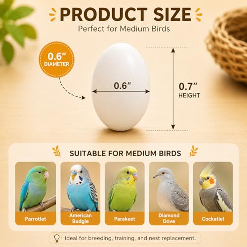 Image of MESINURS Solid Plastic Eggs - Parrot Bird Hatching Replacing Eggs for Guiding Birds to Stop Laying, 10 PCS (M)