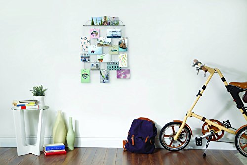 Umbra Trickle Photo Display, Chrome #TOP3