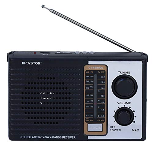 iBELL CTFM100U Portable FM Radio, with USB, SD Card, MP3 Player & Dynamic Speaker 4 Band (Black)