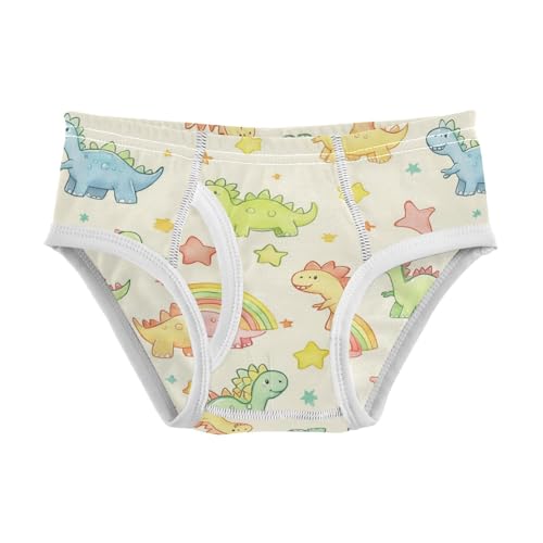 Wusikd Colorful Dinosaurs Boys' Underwear Cotton Rainbow Stars Boys Briefs Soft Toddler Underwear 2T