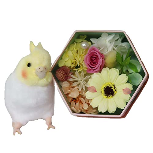 TEhAW \[vt[ vU[uht[ ̉ԏ Mtg IJCR lC a hV̓ ̓  c FB 