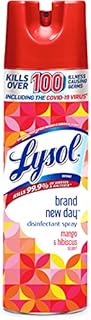 Lysol Disinfectant Spray, Sanitizing and Antibacterial Spray, For Disinfecting and Deodorizing, Mango & Hibiscus Scent, 19 Fl Oz, (Packaging May Vary)