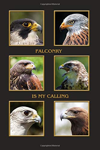 Falconry is my Calling: Hawk, Eagle, Kite, Buzzard, Harris Hawk, Gyrfalcon, the popular birds of prey for falconry. Falconer notebook and journal. ... cm (almost A5), 120 pages, fine grey lined