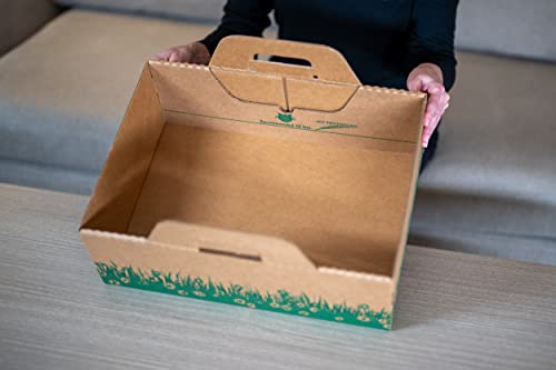 Litière pour chaton biodégradable à assemblage rapide et élimination hygiénique
