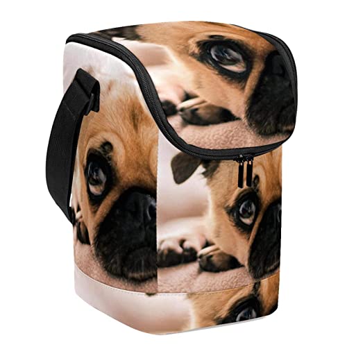 Bolsa de almuerzo de perro para evitar plásticos y llevar tu comida 2