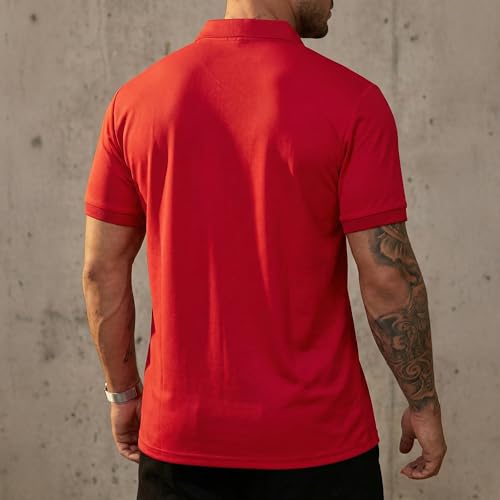 Image of Men's Polyster Stretchable Polo T-Shirts Half Sleeves Regular Fit T-Shirt for Everyday Wear