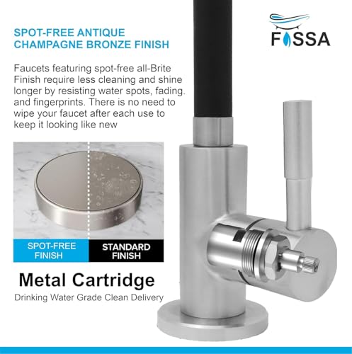 Image of Fossa 1-Year Warranty RO Tap - Pure 304 Stainless Steel Body with Flexible Swivel Spout for Kitchen Sink /Basin | Lead-Free Drinking Water Filter Faucet - Black (Matte Finish)