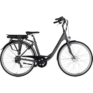 AMIGO E-Altura D1 Elektrische fiets voor dames, 28 inch, e-bike 49 cm, 7 versnellingen, met velgremmen, mat grijs