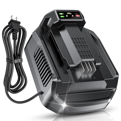 Replacement for EGO Battery Charger Compatible with EGO 56V Lithium-ion Battery 4A Fast Charger Station for EGO Battery BA1400 BA2800 BA4200 BA5600 Fit for EGO 56V Charger CH2100 CH5500