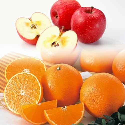 nڗv ̋lߍ킹 Y t[clߍ킹 ʕlߍ킹 Y 2Zbg |XY Tӂ(S3)/QY (g}hiƓi̊k)(3)| Â悢_̂񂲂̑\ Tӂ ƁA݂񖼎YnQ̔