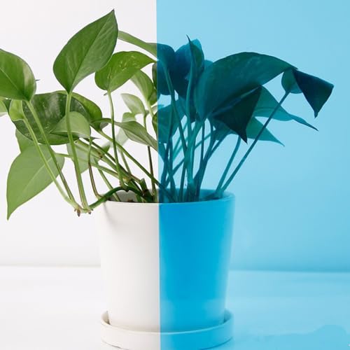 Película decorativa transparente para ventanas adhesiva miniatura 3