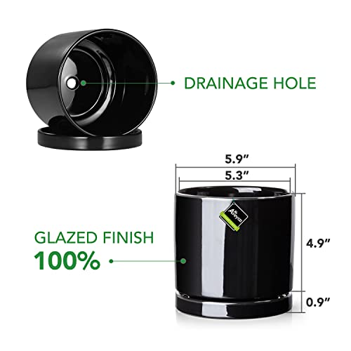 Aveyas 6 Inch Ceramic Planter Pot With Drainage Hole & Saucer, Glazed Mid Century Modern Cylinder Small Plants Pot For Indoor Desk Decorative Snake Flower Succulents Pots (6In Shiny Black) #TOP2