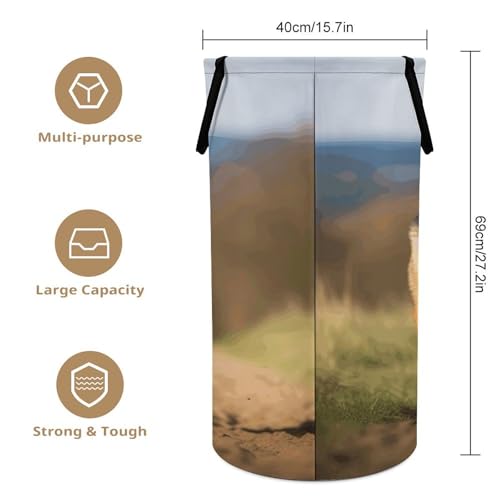 Panier pliable pour course à pied imperméable et rond