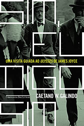 Sim, eu digo sim: Uma Visita Guiada Ao Ulysses De James Joyce - Galindo, Caetano W.