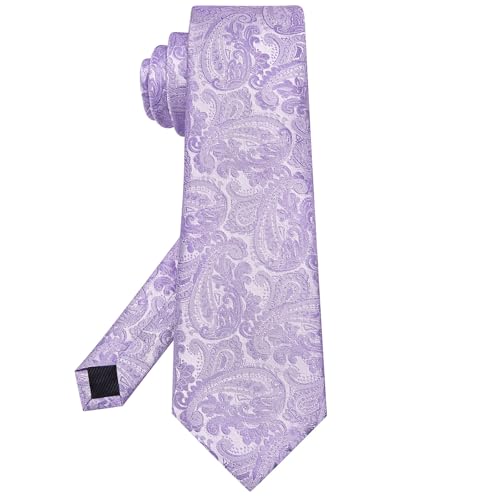 Image of Hi-Tie 63 inches Striped Paisley Extra Long Ties for Men Silk Necktie with Lapel Pin Tie Clip Big and Tall Men Formal Wedding