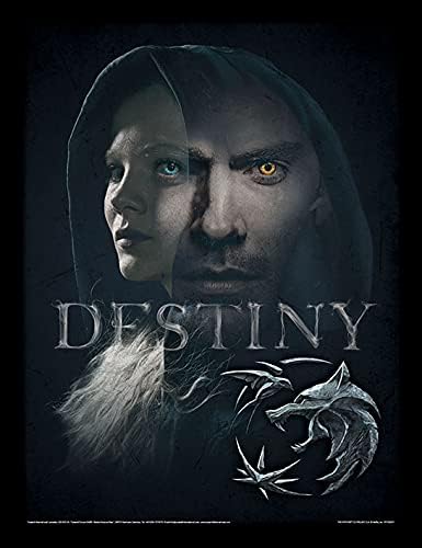 Pyramid International The Witcher Framed Print Destiny Design 30 x 40cm Official Merchandise