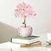 Imagen de Árbol de la Vida de Cristal de Cuarzo Rosa VLYX