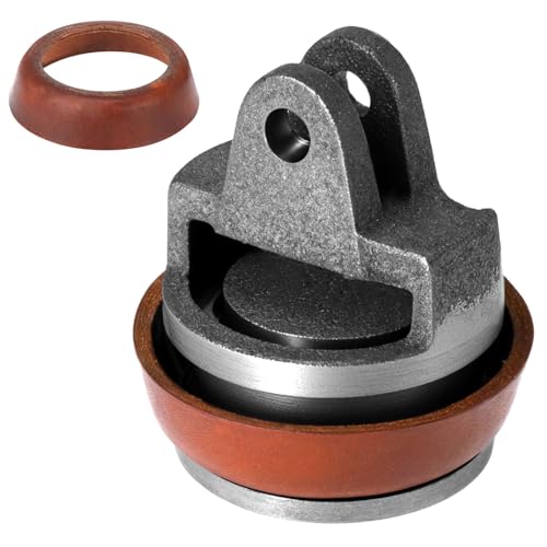QWORK® Ersatzkolben für Schwengelpumpen, Brunnenpumpe mit 1 Zusätzlichem Dichtungsring– Passend für Typ 75 Gartenpumpe