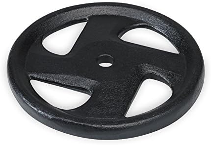 SPRI Weight Plate 1-Inch Cast Iron Standard 4 Grip Plate (Available in 5, 10, 25, 35 Pounds - All Plates Sold Separately)
