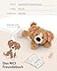 NICI Kuscheltier Hund 20cm - braun - Weiches Plüschtier – niedliches Stofftier zum Kuscheln & Spielen – tolle Geschenkidee für Kinder & Erwachsene - 62140