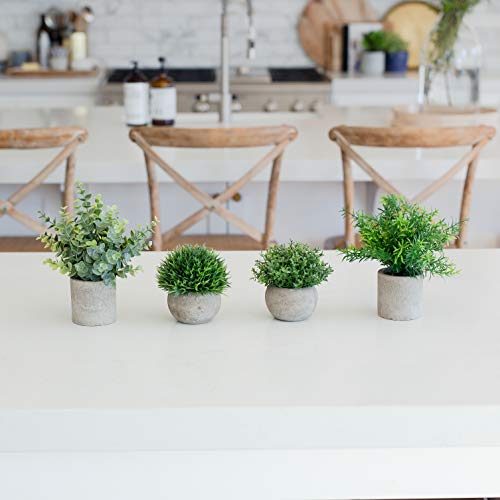 Greencallow Artificial Plants For Home Decor Indoor. 4 Mini Plants, Rosemary Faux Plant Decor, Eucalyptus Plant, Grass Faux Plants. Small Fake Plants For Shelf Or Desk Plant Artificial Greenery Décor #TOP7