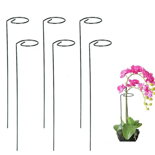 Tomato Twist Stake,6/10PCS Spiral Tomato Stakes,2025 New Plant Support Stakes Single Stemmed Flower Support Hoops Spiral Tomato Stakes, to Grow Upright Makes Plants (Straight Type,6pcs)