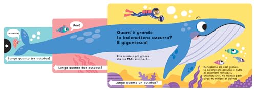 Quanto è Grande Una Balena? - Scorri E Scopri - 3