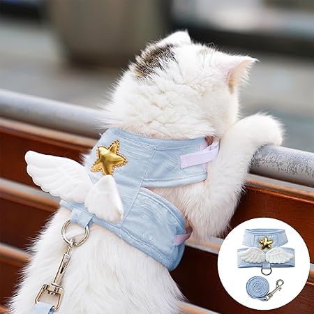 ybgpn[lX+[h ^Lp U Vg Eh~  [h Lp  y ʋCbVU o (, L)