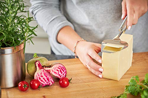RÖSLE Käsehobel, hochwertiger Käseschneider für Hart- und Schnittkäse, Edelstahl 18/10, spülmaschinengeeignet, Silberfarben – Ansicht 3