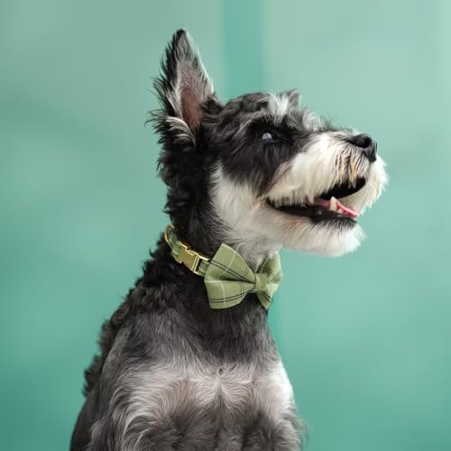 Beirui Cute Extra Small Dog Harness Collar and Leash Set with Bowtie, Soft Adjustable Plaid Puppy Harness for Small Sized Dogs Cats Walks Parties and Photoshoots(Green,XS:Chest 13-18") - Image 6