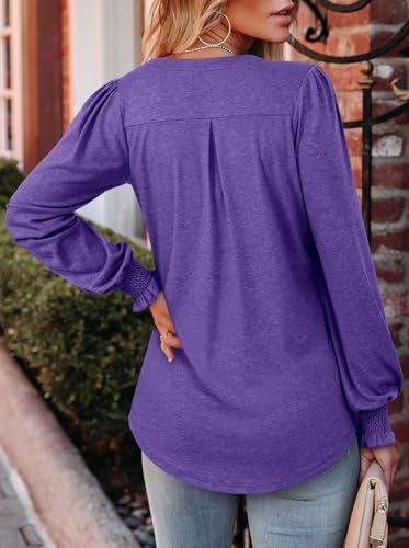 BETTE BOUTIK Long Sleeve Shirts for Women Fall Tops Dressy Blouses Pleated V Neck Tunic Tops for Leggings S-3XL