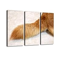 Amazon｜柴犬 柴 犬 尻尾 しっぽ シッポ 尾 ふわふわ フワフワ