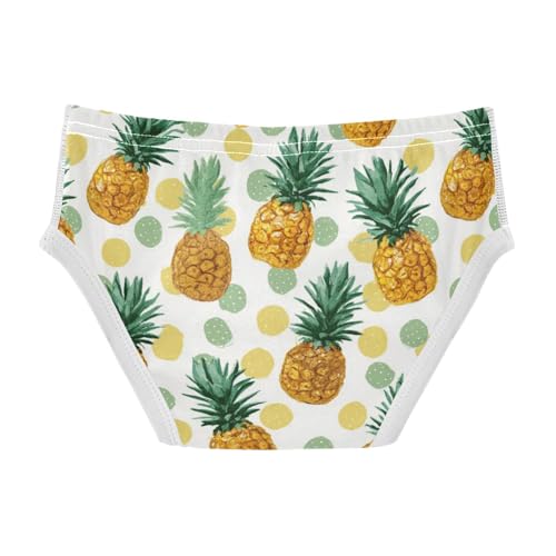 Wusikd Pineapple Polka Dots Boys' Underwear Cotton Boys Briefs Soft Toddler Underwear 2T2