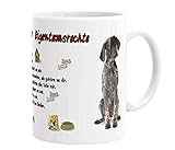 Merchandise for Fans