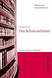 Oldenbourg Interpretationen / Der Schimmelreiter: Band 42: Mit Unterrichtshilfen