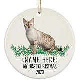 Décoration Sapin Céramique Cadeau Noël avec Ficelle Dorée Arbre De Noël Artisanat Bricolage Christmas Noël Hanging Nom Personnalisé Année Chat Bengal Snow