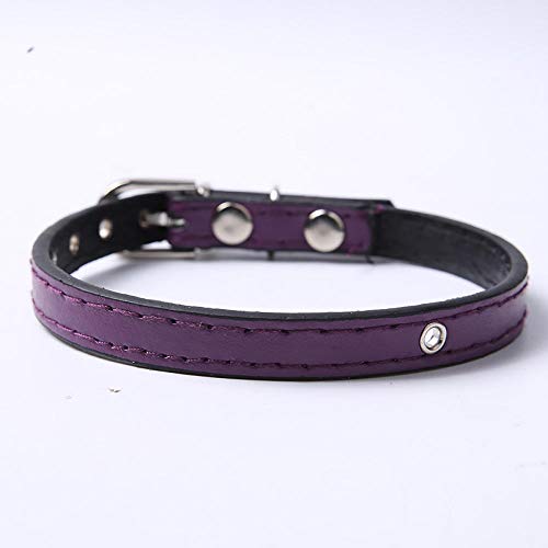 TYCHWZRMV(X)A x[VbNȌp[h p U[ ߉\Ȍpn[lX 6F ^ ^ ybg(Purple,S)