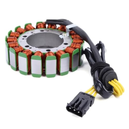 Générateur magnéto moto pour F800R F650GS F800GS avec bobinage renforcé OEM 1231769042 - 2