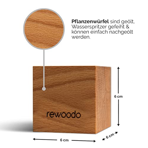 rewoodo Pflanztöpfe - Indoor Garten Anzuchtsystem Mini-Gewächshaus Tischdeko Schreibtisch(6er Set, Pflanztöpfe) - Image 5