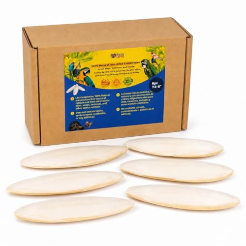 Birds LOVE 7.5-8 Cuttlebone for Birds 100% Natural Sun-Dried Calcium Carbonate Mineral Supplement for Parakeets Budgies Cockatiels Finches & Canaries 6 Pack with Holder Made in Vietnam