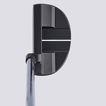 Amazon.co.jp: 本間ゴルフ（HONMA） サカタ ラボ SL-002 パター