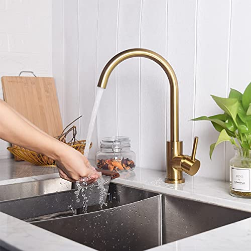 Trywell Brushed Gold Bar Prep Kitchen Sink Faucet With Single Handle, Modern One Hole Outdoor Bar Sink Faucet, T304 Solid Stainless Steel #TOP6