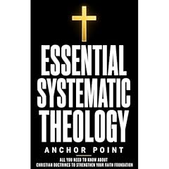 Essential Systematic Theology Audiolibro Por Anchor Point arte de portada