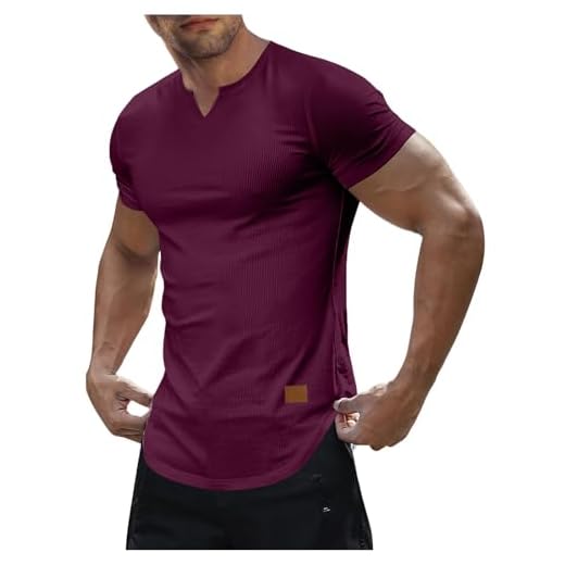 Générique Tshirt Été Décontracté Hauts Homme Manches Courtes Tee-Shirt Col V Couleur Unie Tee Shirt Léger Doux T-Shirts Fincut Mode Teeshirt Extensible Confortable Vêtements Meine Vin L