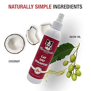 Warren London Cat Dry Shampoo | No Rinse Shampoo Cat Cleaner with Neem Oil & Coconut | Kitty Shampoo On The Go | Made in USA