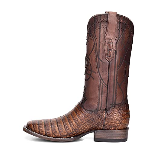 3Z1Ofy Cayman Belly Traditional Rodeo Western Boots (Maple, Numeric_10_Point_5) #TOP2