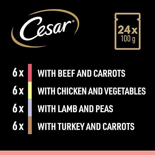CESAR Pouch Selection in Sauce, Fresh Adult Wet Dog Food Pouches in Delicious Sauce with Succulent Meats and Vegetables, Pack of 2 (2 x 24 Pouches x 100 g)
